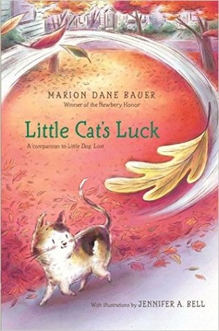 Little Cat’s Luck